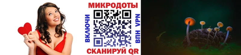 Галлюциногенные грибы Psilocybe  продажа наркотиков  Лениногорск 